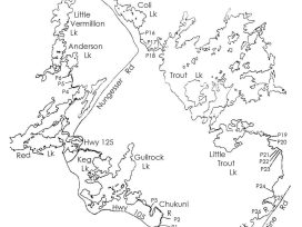 Canoe Root, Pakwash Lake, Red Lake, Trout Lake