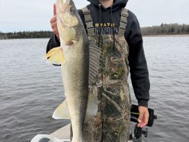 Trophy Pakwash Walleye