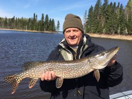 Another Guest With Big Northern Pike Fish