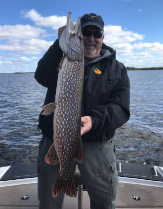 Guest Holding Giant Northern Pike Catch Aspect Ratio 330 422